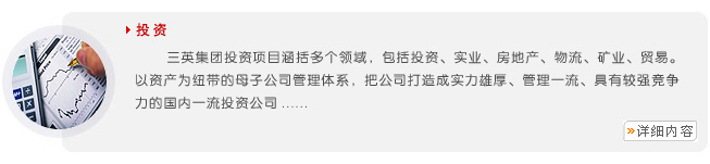 投 資 投 資